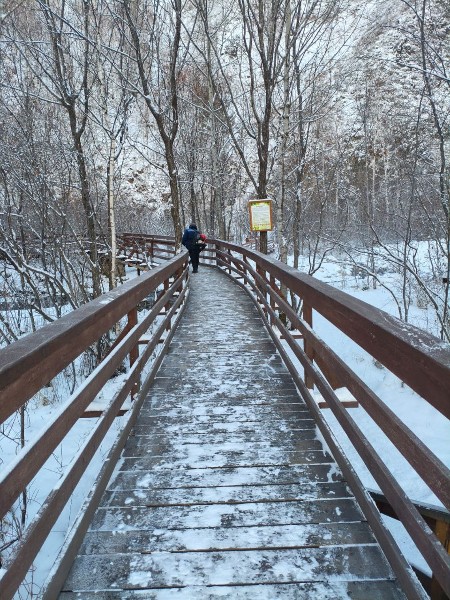 Уборка снега,восстанавливаем уличное освещение (у.Ржанова,ул.Октябрьская,пер.Пионерский).